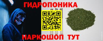 a pvp Жуковский