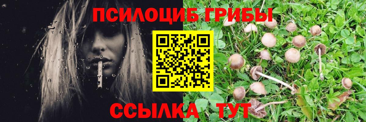 Галлюциногенные грибы Cubensis  Вход с VPN  купить наркотики сайты  Когалым 